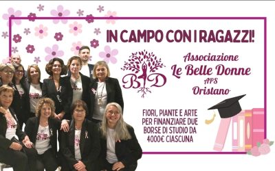 Raccolta fondi borse di studio 2026